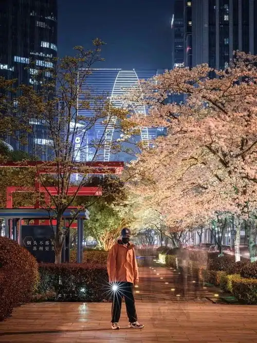 来园区,遇见粉色的梦