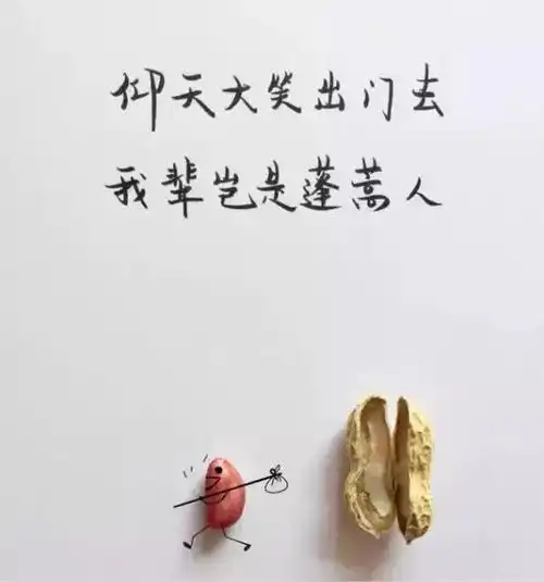 几粒花生米,阐释了绝美的诗词意境,生活就应该有诗意