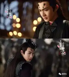 新人来了,观众不用再对着电视剧上的老面孔问howoldareyou了