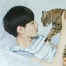 欧美系头像女抱猫男生