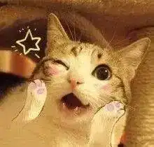 谁说吃货就会吃,看看人家