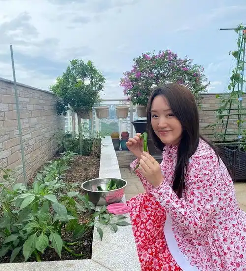 40岁孙俪和51岁杨钰莹,同是干活种菜穿搭大不同孙俪素颜朴素