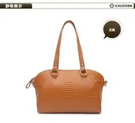 chloden蔻丹旧金山系列欧美头层牛皮鳄鱼纹单肩手提斜挎女包1100010052