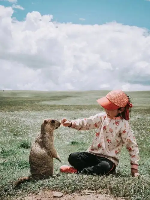 古瓷视界丨一对异想天开的小情侣把家装房车,环游大半个中国超浪漫
