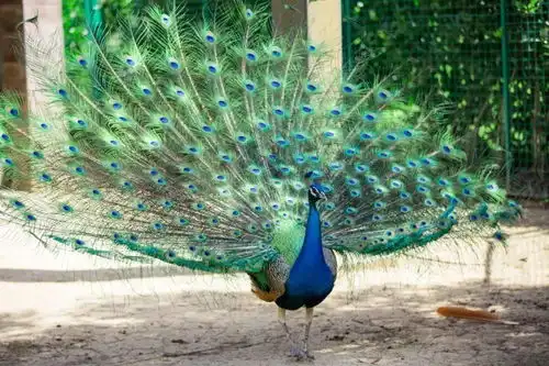 2020少的那张毕业照,就让这场毕业旅行来代替吧文末有福利