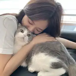 头像小小的脑袋装着大大的发财梦