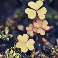 致知计划之数码季