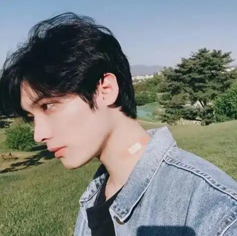 男生头发软适合什么发型