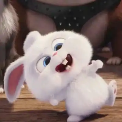 萌系情侣头像萌萌哒兔兔