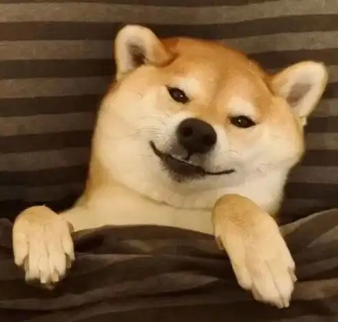 每天都梦想着能这样度过简直十分幸福了