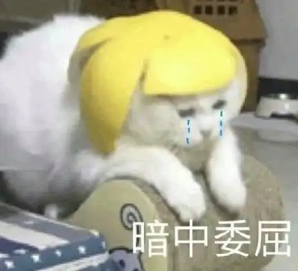 无聊猿猴系列头像猿猴