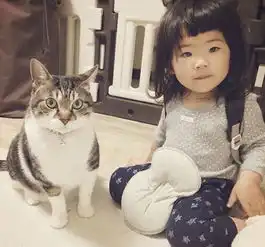 将来生了女儿一定要养只猫,然后...