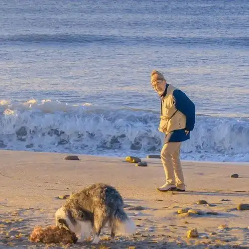 治愈系朋友圈背景图来了