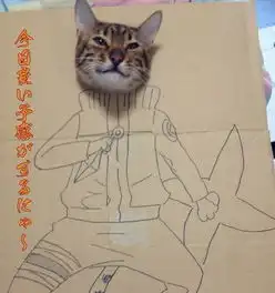 一只脸不停切换cos动漫人物的猫的gif图