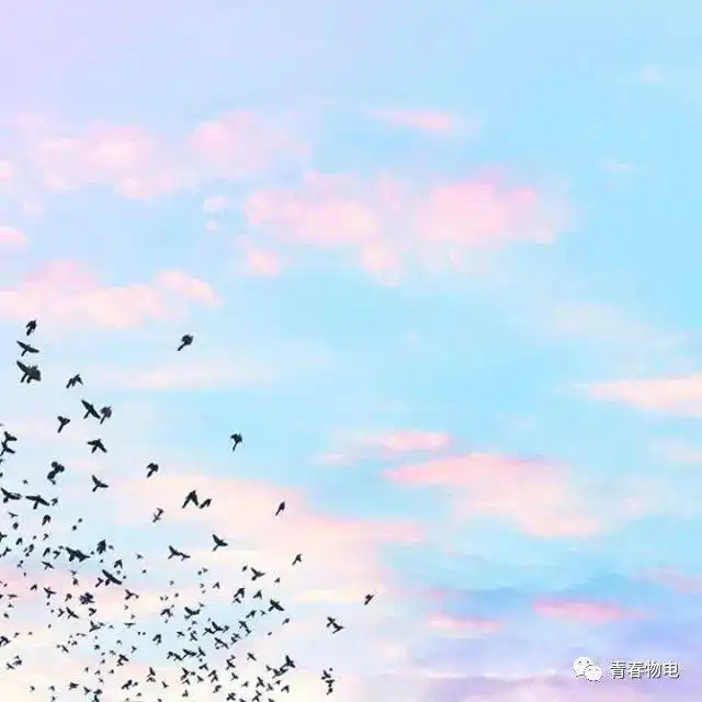 嘿你有一张观影票