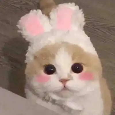 爱不能当饭吃可是被爱能好好吃可爱图片我要个性网