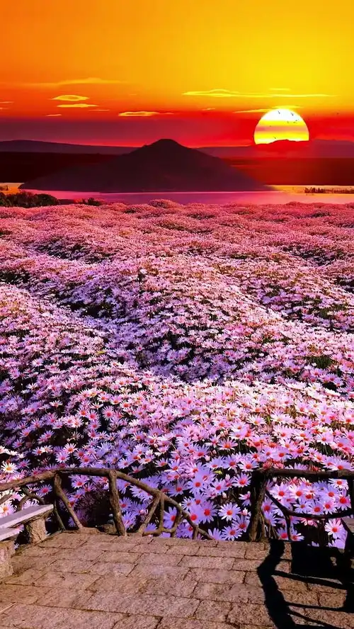 为什么要读书比如看到这样的画面你会说日出东方催人醒,不及晚霞懂我心而不是卧槽这风景真美治愈系风景