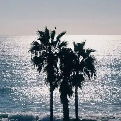 2023最新唯美海边风景头像