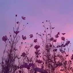 超好看的朋友圈背景图