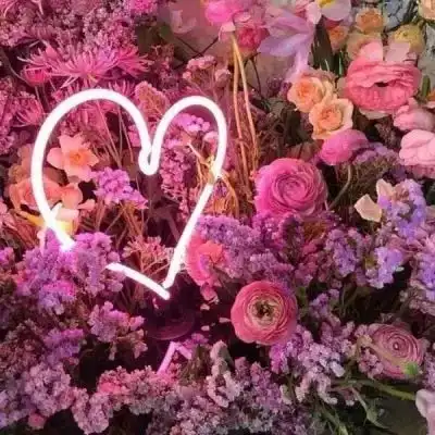 2023最新唯美红花风景头像