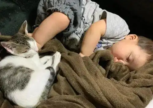 顶级猫奴就是要从小培养,网友都看傻眼了