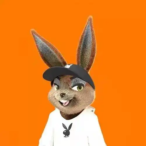 花花公子推出nft系列nft未来或将有更多值得期待的空间