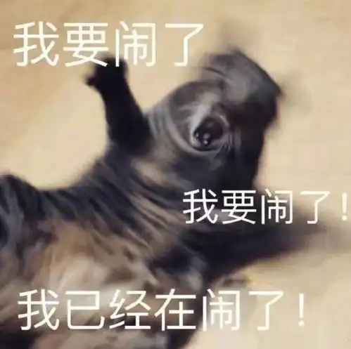 合法但有病的发疯小猫表情包