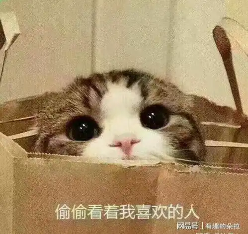 抖音中那些散发阵阵恶臭的恋爱段子