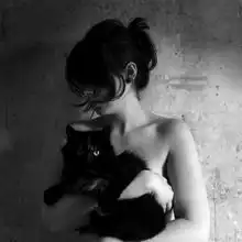 blackcat