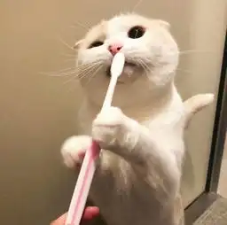 微信头像卡通人和猫淘气