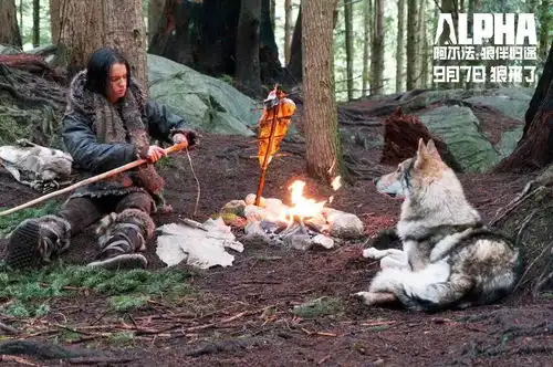 口碑爆棚本月最值得看的亲子电影来袭