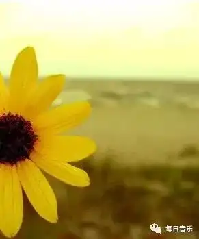 最适合冬天听的十首曲子,让心暖起来