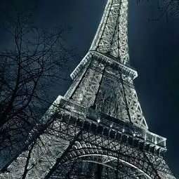 100条精华问答美术宝