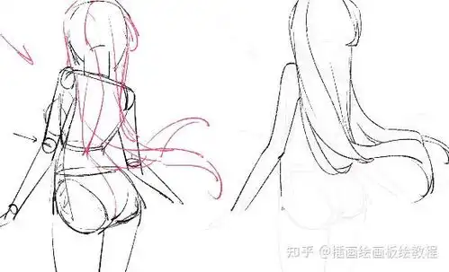 动漫人物后背怎么画你不知道的全新人物背部画法教程