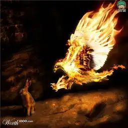 跟火有关的头像