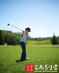 高尔夫教程打高尔夫的入门法宝