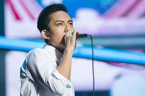 林宥嘉自曝不愿再被称为选秀歌手,禁欲系男神只想立马当爸