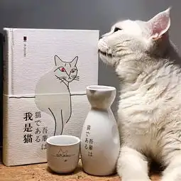 书香猫眼看世界重温百年经典