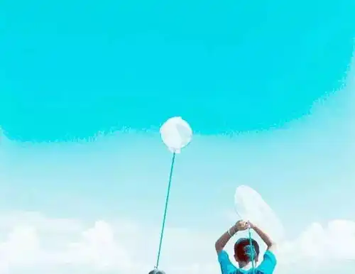 用手机拍日系小清新,简单出片