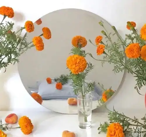 66张ins风背景图,清新干净