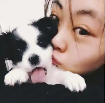 小伙因边牧小奶狗结识了女孩,后来成为了恋人,狗狗功不可没