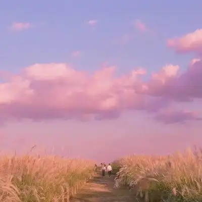 美到让你倒背如流的神仙句子