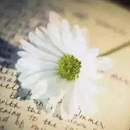 在线收听丸子是个大逗比荔枝