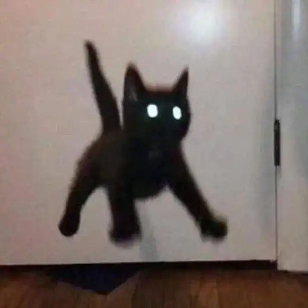 每晚分享沙雕表情包