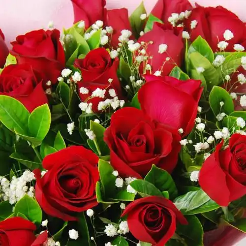 财运飞涨,喜笑颜开,好运来临,成功尽在眼前的4星座