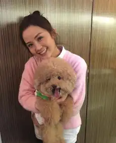 蔡卓妍晒与宠物狗扮萌合照网友卡通袜萌萌哒
