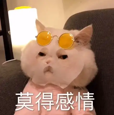 为什么说没钱千万别养猫看完这篇文章就懂了
