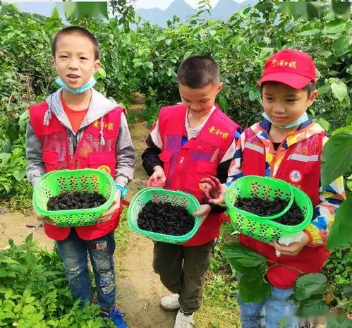 领养蚕宝宝,采摘桑葚贵港这群孩子玩嗨还学到科普知识