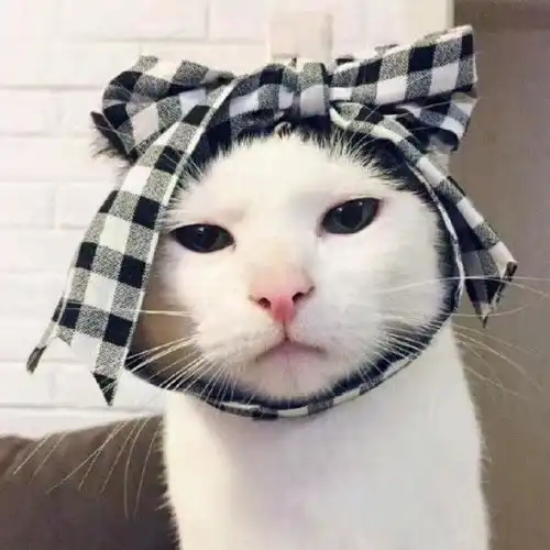 进来收藏超级好看超级甜的情侣头像精选合集