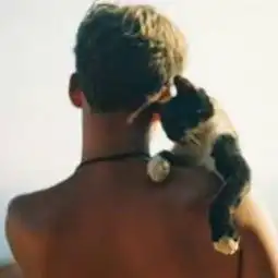 余黎.只愿做你怀中猫与意中qq男生头像我要个性网